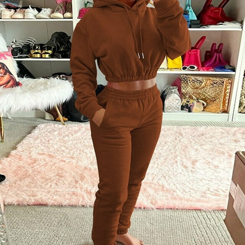 Winter Women's Hood Tracksuit Sweatsuit Set Solid Color Nude Velvet