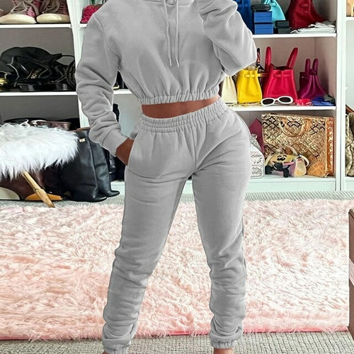 Winter Women's Hood Tracksuit Sweatsuit Set Solid Color Nude Velvet